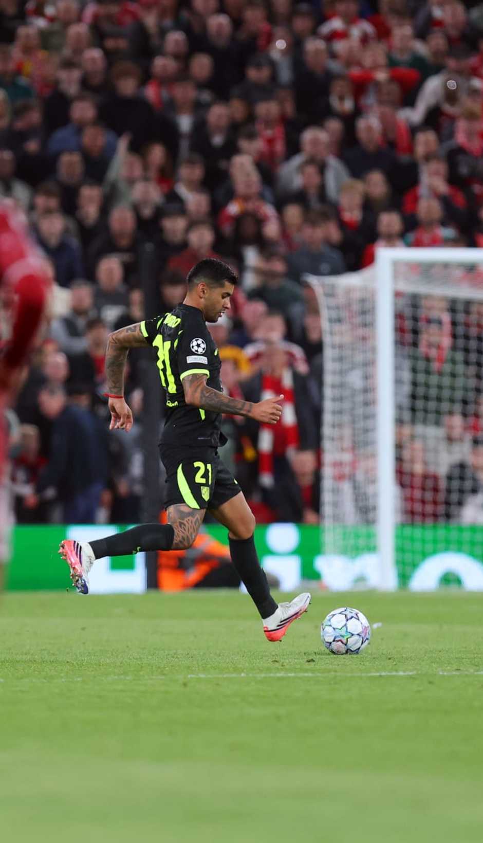 Cuti Romero conduce el balón en Liverpool-Atlético